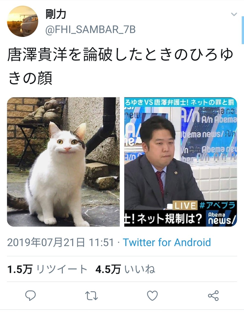 この猫 唐沢貴洋を論破した時のひろゆきにめっちゃ似てる 4 5万いいね まとメメちゃん