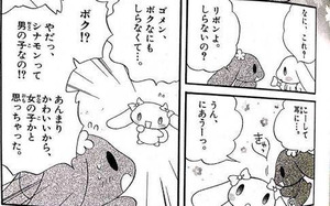 今さらシナモンの可愛さに気づいてしまった まとメメちゃん