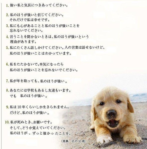 イッヌさん 自分が罪を犯してることに気付かない まとメメちゃん イッヌさん 自分が罪を犯してることに気付かない まとメメちゃん