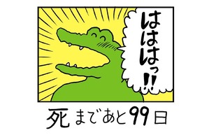 ELlyUd0UwAIaQqp