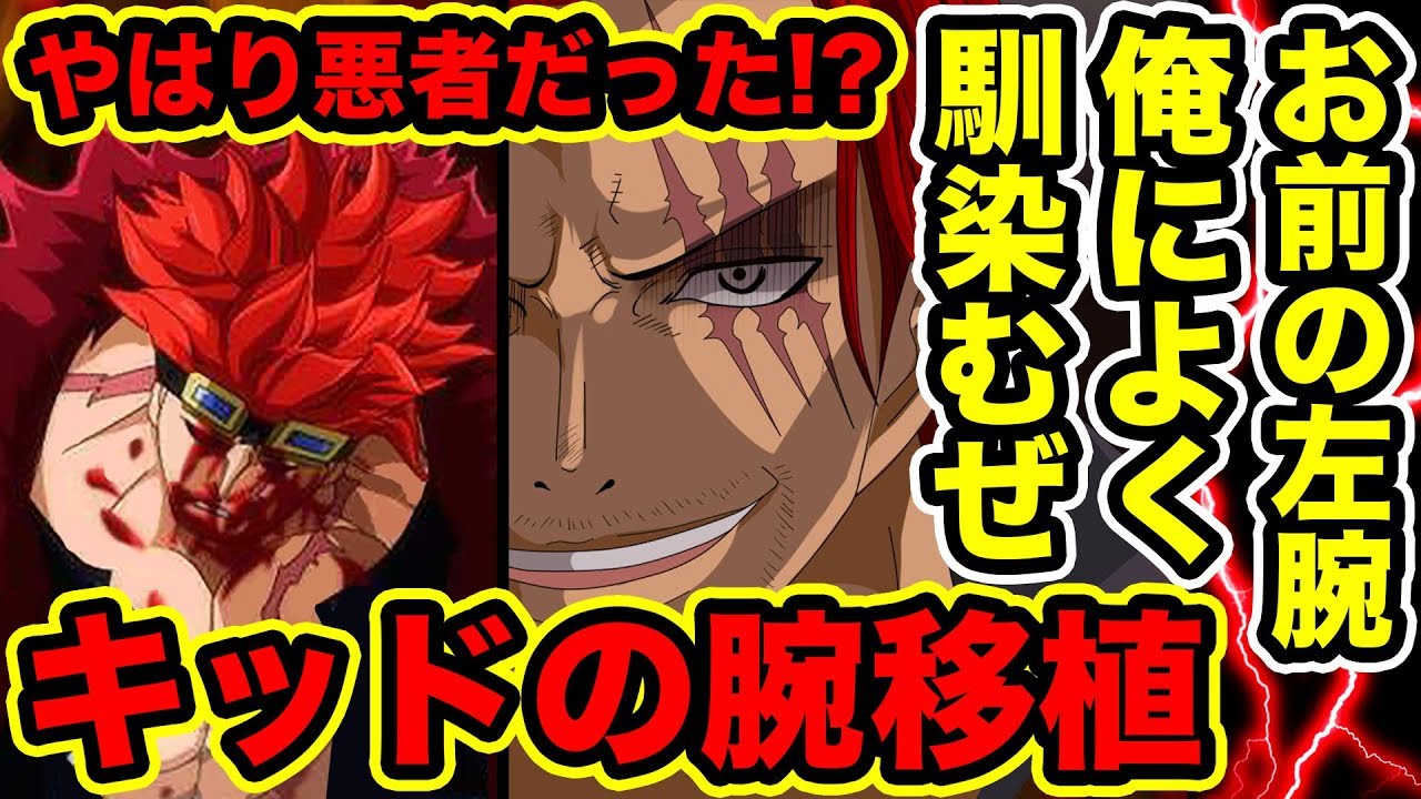 四皇シャンクス ガチで天竜人だった まとメメちゃん