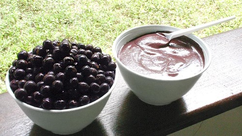 acai01
