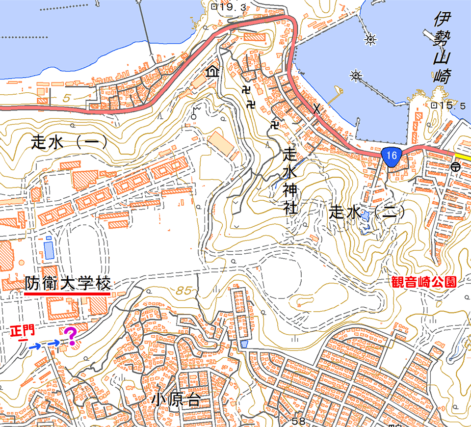 観音崎尾根 第6回 安房口神社〜観音崎公園 その7 小原台緑地