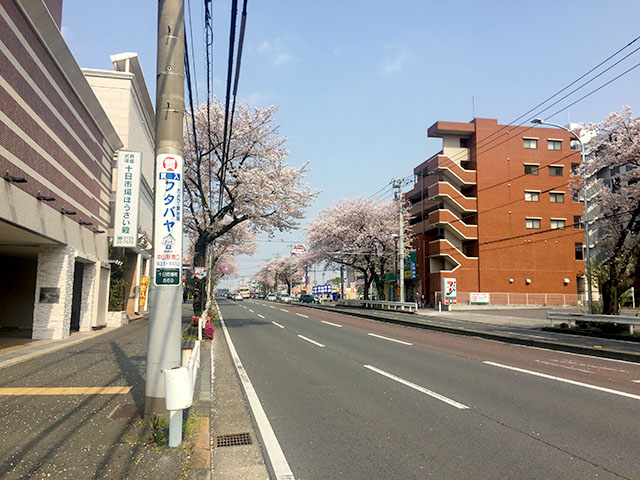 環状４号線桜めぐり その３ 十日市場 うに うに ぷにぷに別宅