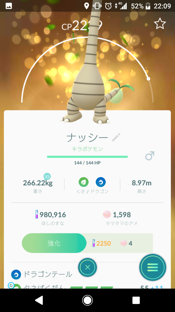 レジ ドラゴン 冠の雪原 レジエレキとレジドラゴどちらを選ぶべきか