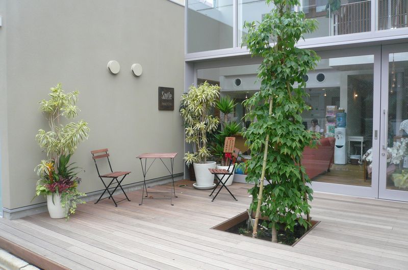 �����ʻ��ʣ�