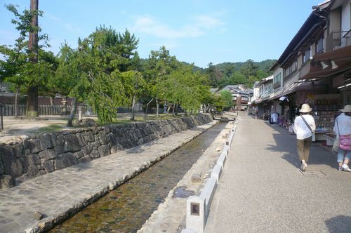 広島11
