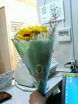 ���������ץ쥼���