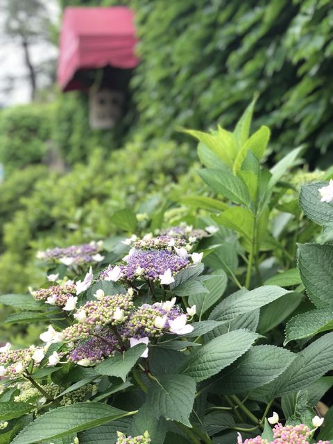 780B2328-E06E-4126-B116-61DDE6CCAC4C