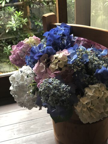 97D84E3E-C771-41D6-8E65-2F9E65EF41B7