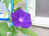 c1258845.JPG