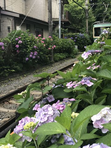 B6B5624F-5BAA-433D-B758-1E50B67E750D