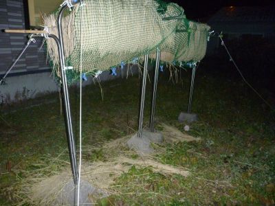 P1010105_400