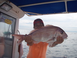 img_1595286_45012417_0