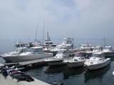 img_471246_53893690_6