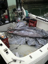 img_1509652_50459214_2