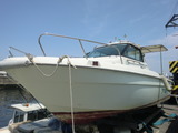 CIMG2588