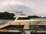 CIMG7355
