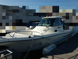 BlogPaint