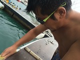 1408361057886