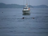 img_307650_54632872_0