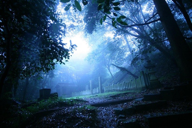 俺の家は、稲荷神社を管理してる。神主ではなくて、神社の本殿の鍵を遠方にいる神主の方から預かっていて、定期的に掃除したりするようなかんじだ。