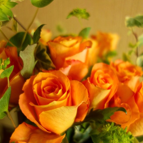 DSC03827_F2
