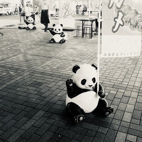 6941C3EB-C6F9-476A-97F6-BAA35271C982