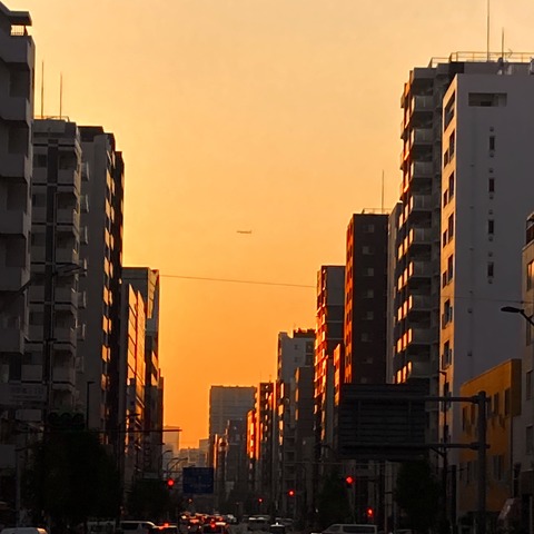 51D2F2B8-65A8-42C2-8A16-372D2D5DDF7F