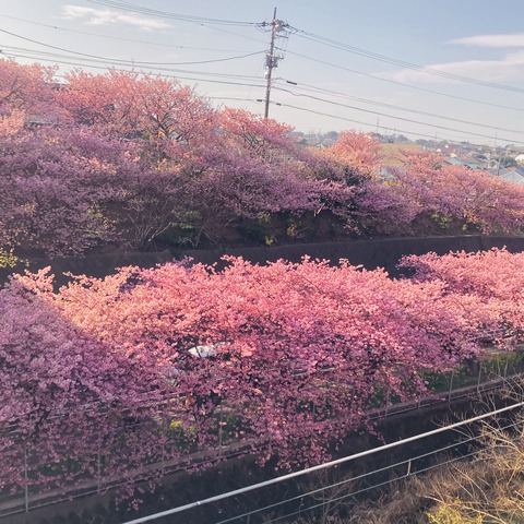 ACD24965-9CB9-415E-B65B-091A1CAB56B0