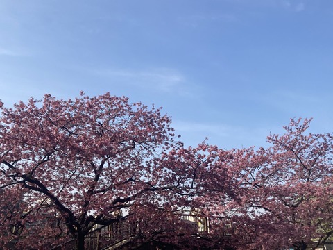 7F164607-D37C-47B6-B66A-301F1CD8E1FA_1_105_c