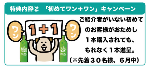 otameshi111setsumeiB
