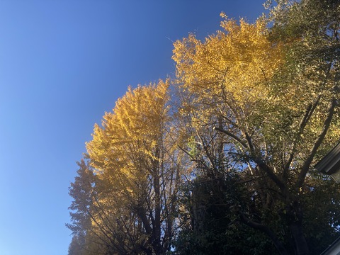 65F6349F-A15C-4F52-8C0B-4684F04720DA