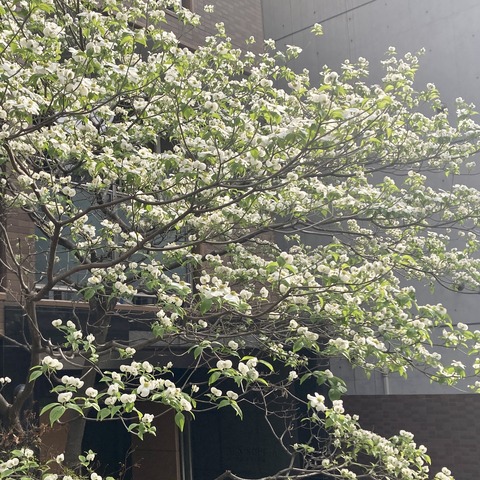 2011A182-D70A-4D3C-9C68-CB81F753D020