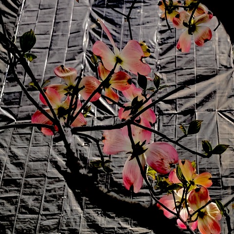 8CA9A36C-6441-4664-8B9B-315837711D39