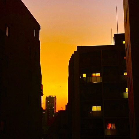 0FD6D8EF-A962-4F76-9E58-ADA31E545213_1_105_c
