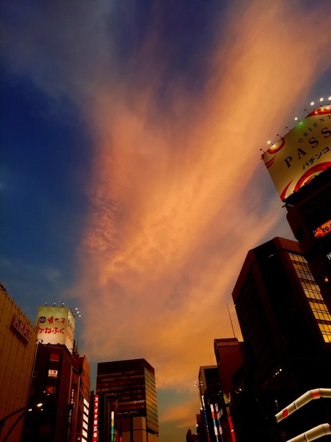IMG_20200811_091153