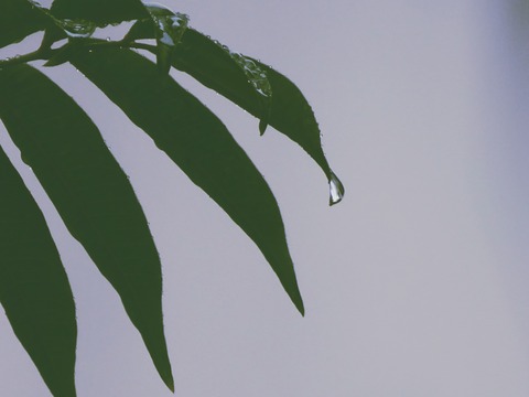 DSC02993_Fotor