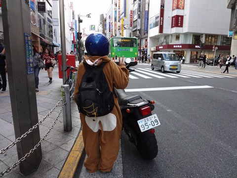 49204690_2433842496657130_7238440578747203584_o