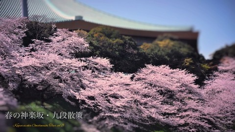 kagurazaka8