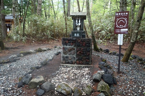 DSC00422-1024x682