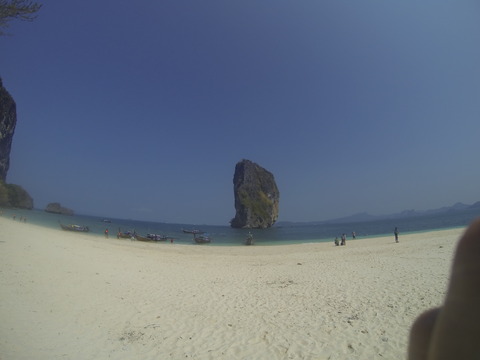 G0033196