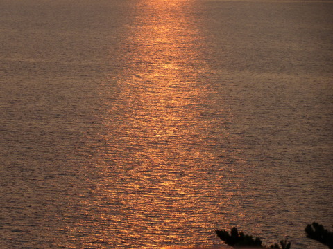 DSC02674