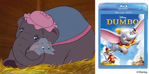 dumbo