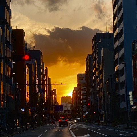 81BD2C84-B9A2-455D-BC4A-EA0E7D4341E8