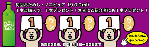 111campaign