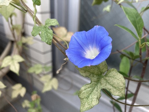 654976E9-8D47-44A5-AC9C-23F48F235EE6