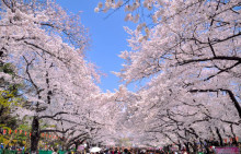 a03c0f42.jpg