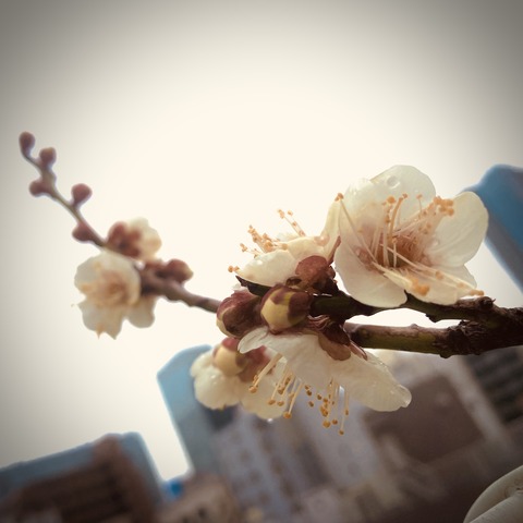 8C9B1709-FFB9-4C75-AD55-7840DB9A285A
