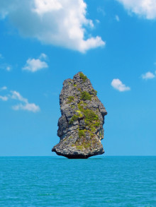 b7c54612.jpg